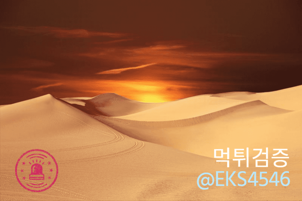 먹튀검증