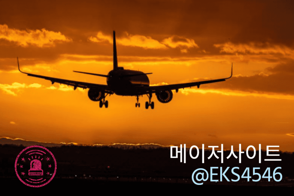 2025 먹튀검증 최신 기법
