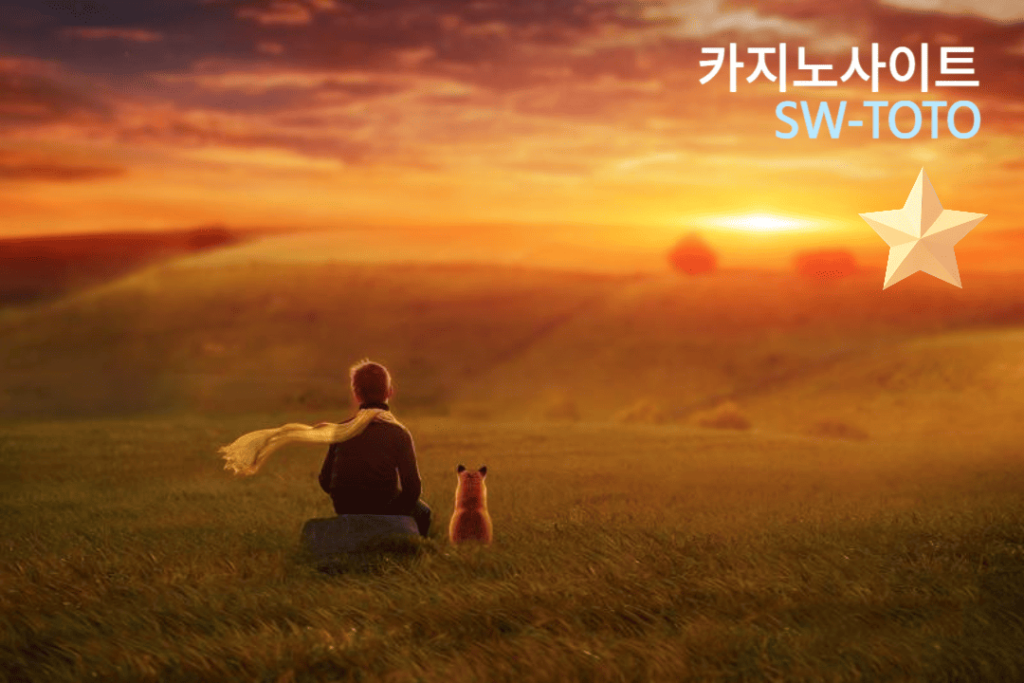 2025년 카지노사이트 특징
