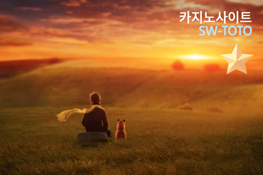 2025년 카지노사이트 특징