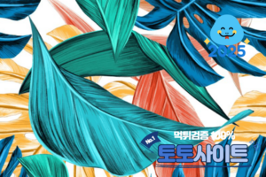 메이저사이트
